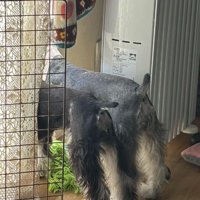 並んでお見送り