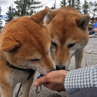 仲良く水分補給