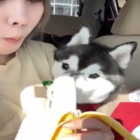 バナナを見る女性1