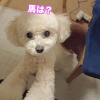 三桜ちゃんはソワソワ