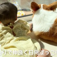 仲良く並んで日向ぼっこ中