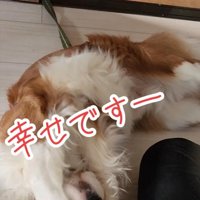 手で顔を隠すだいちくん