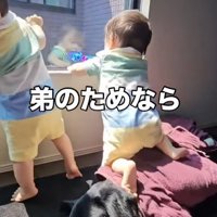 「これで外見れるね」