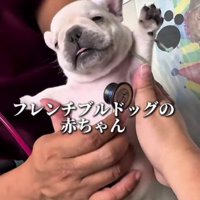 バンザイの体勢で…
