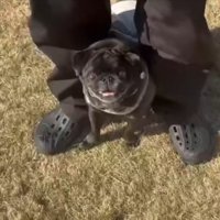 笑顔
