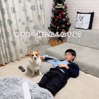 ココちゃんの尊い行動4