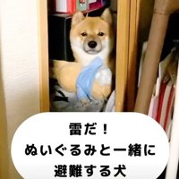 ぬいぐるみと避難！！