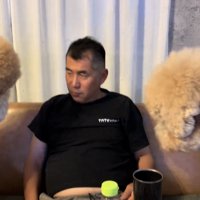 人を覗き込む2頭の犬