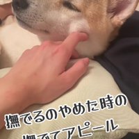 うっとりした表情