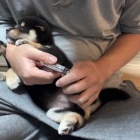 励まされながら、頑張りました♪
