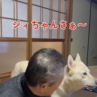 「クゥーンクゥン」