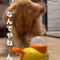 突っ込むママ