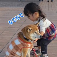 ナデナデも効果なし