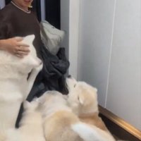 お出迎え