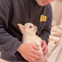 上目遣いで催促