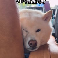 「楽しかったなあ…」