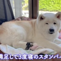 三度目の眠りへ…