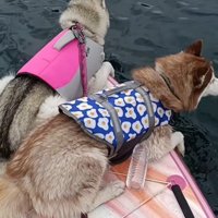 SUPも上手だよ
