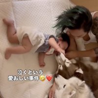 心配する2匹