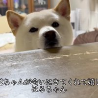 お兄ちゃんが久しぶりに帰省