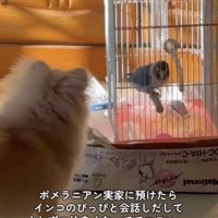 惹かれあってる？