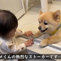 「おかえり！」とお手々をツンツン♡