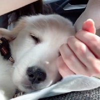 まさかの爆睡！？
