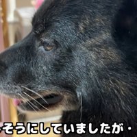 ほっと一安心！？