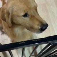 アルトくんと子どもたちの日常7