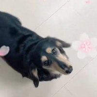 絆を感じるトリミング