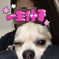 人の膝に顔を乗せる犬