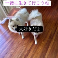 今はのびのびと暮らしています