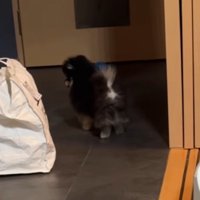 知多くんの様子が一変