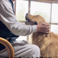 ずっとおじいちゃん見てる