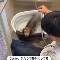 家の中が妙に静か