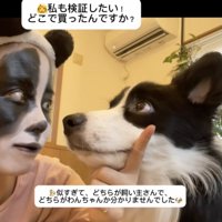 「真似したくなった」コメントが殺到