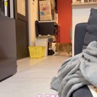 ボールはゴミ箱の隙間へ…