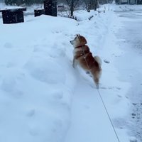 「お母さん…」