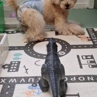 「動かなければ大丈夫かも…」