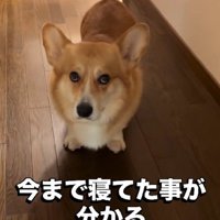 寝起きでご挨拶