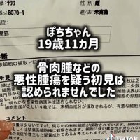 ぽちこちゃんの診断結果