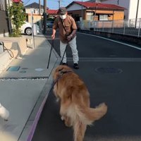 おじいちゃんの元へ向かうりく君