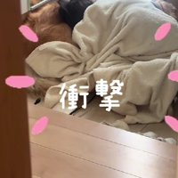 玄関で一緒に寝てる！！