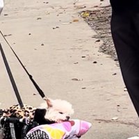 苦しまなかったことが救い