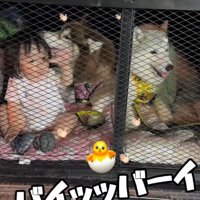 「バイバイ」