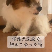 出会った時のマウイちゃん