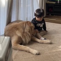 犬の顔を見つめる赤ちゃん