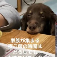 だんだんと眠くなって…