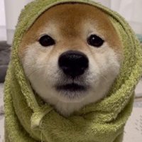 これはたまらない！