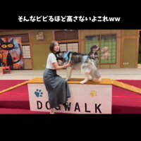 「怖かったよ…」